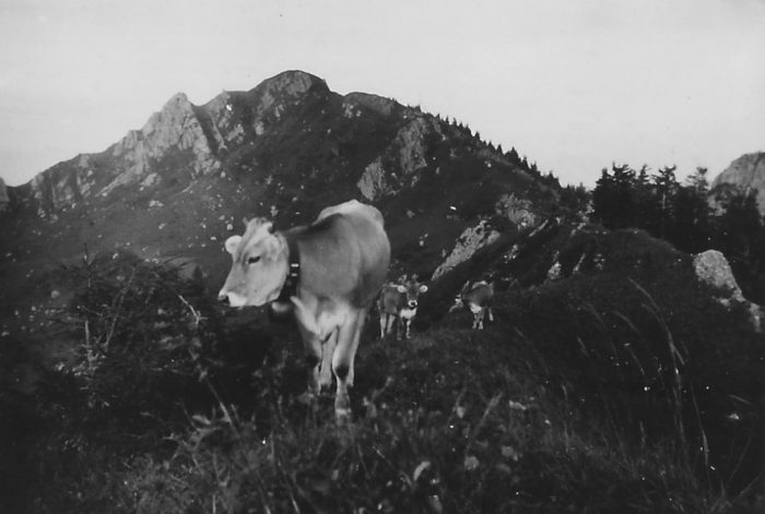 Balderschwang